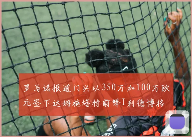 罗马诺报道门兴以350万加100万欧元签下达姆施塔特前锋I利德博格